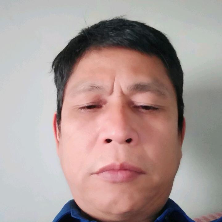 老猫