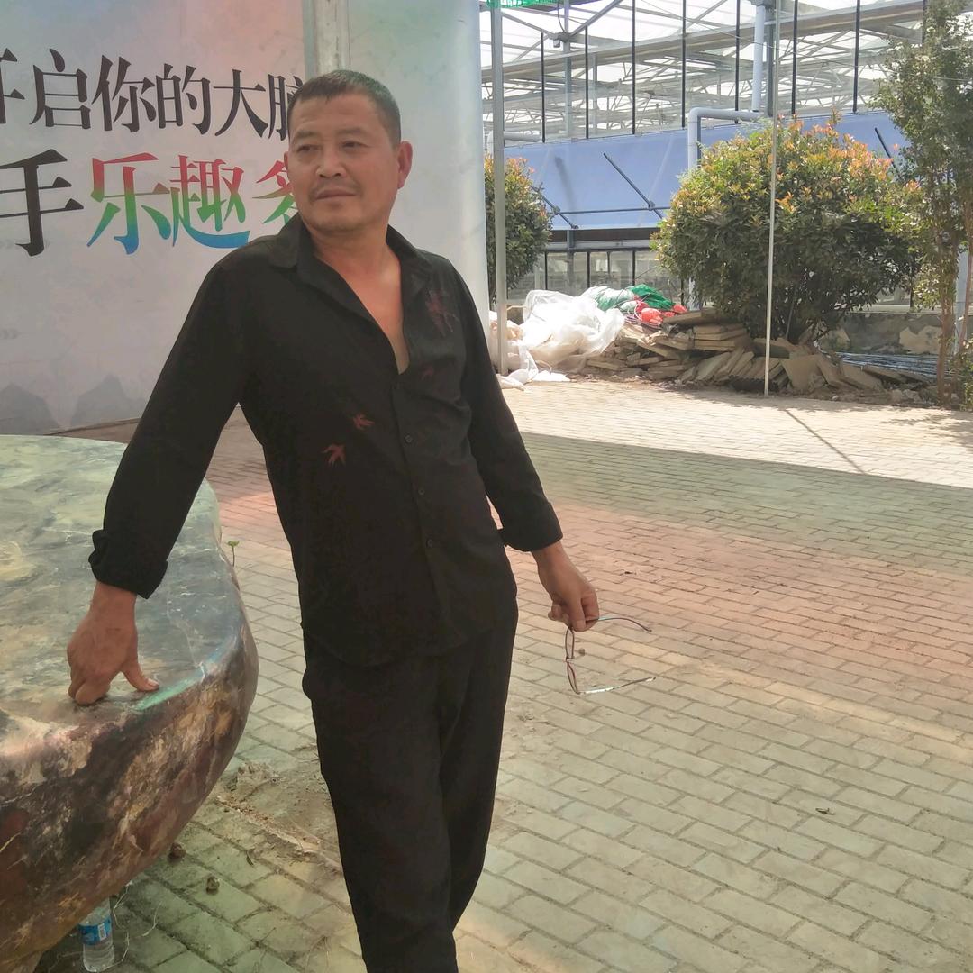 狼行天下