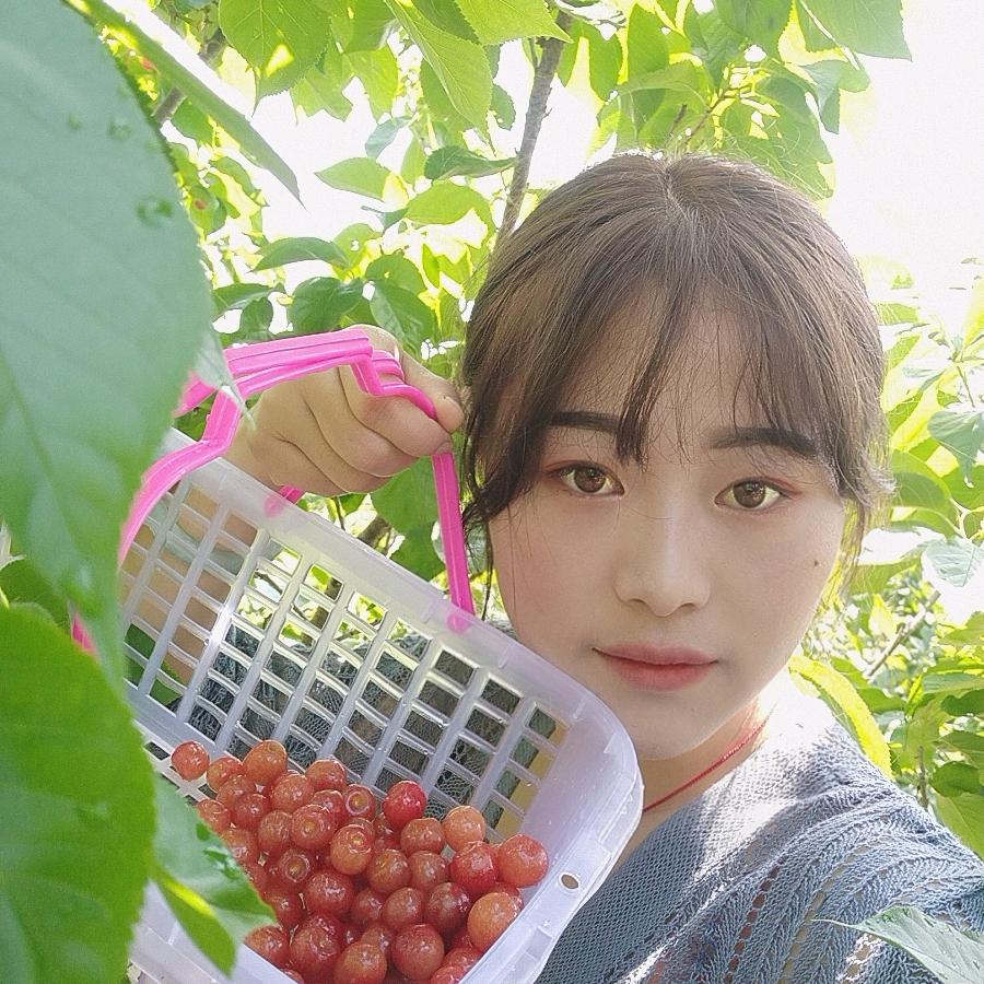 柠萌🍀