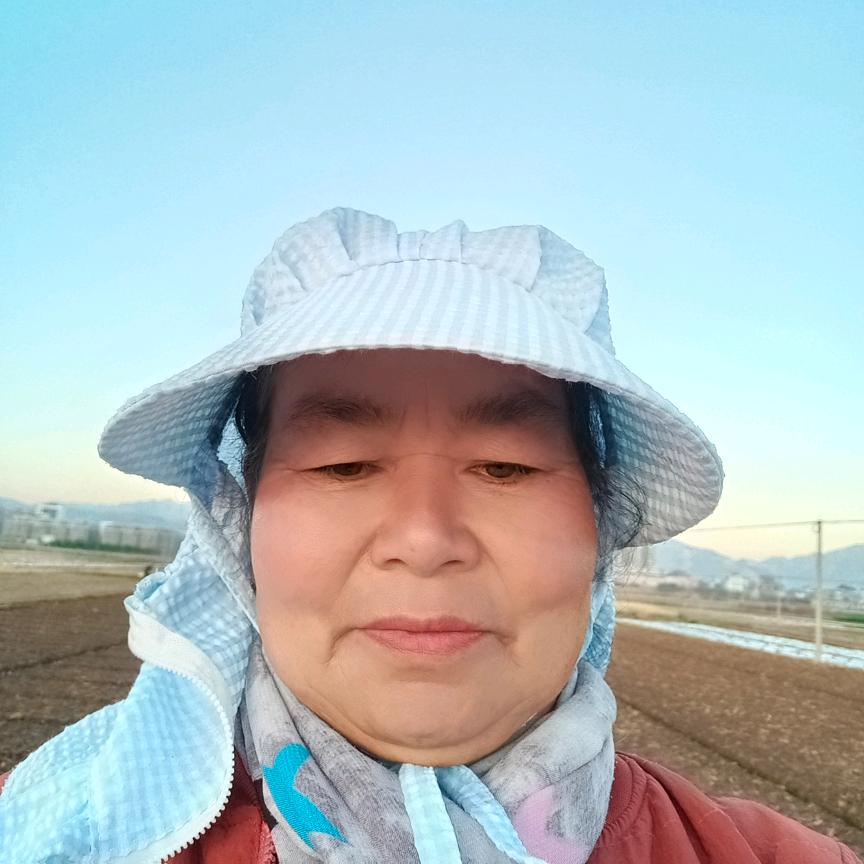 陈美红