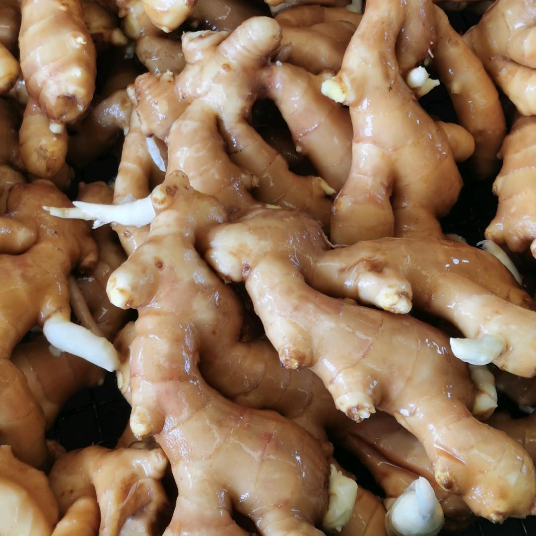 生姜小哥的日志