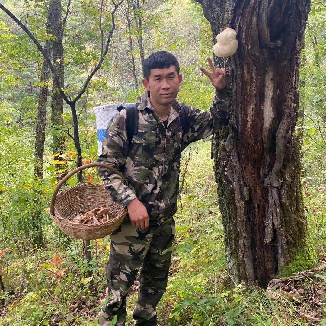 大山里的生活小管