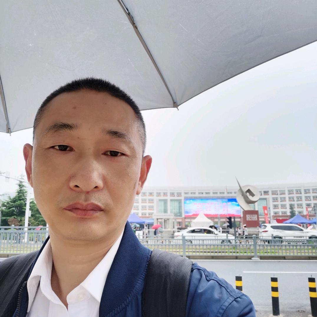 海鸥飞扬