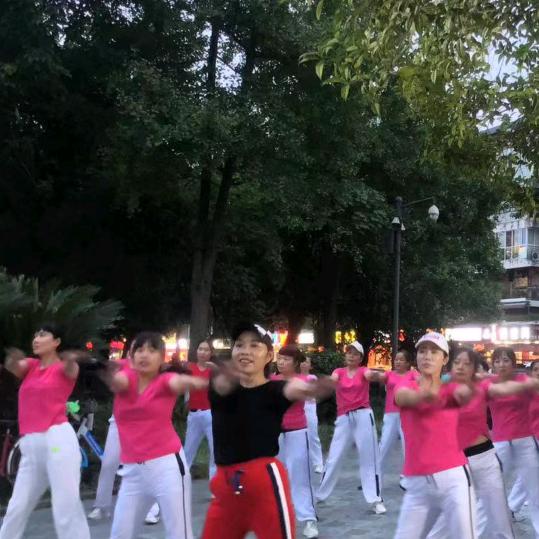 温江大红紫薇基地