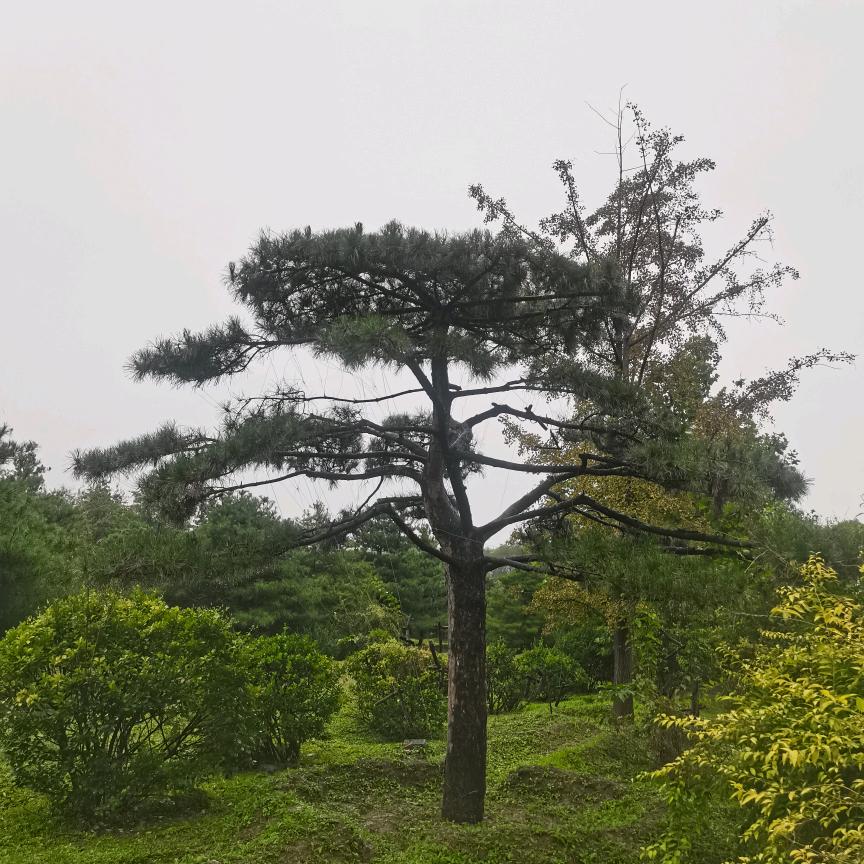 垂钓园、坑主（高密度无限回锅鱼）
