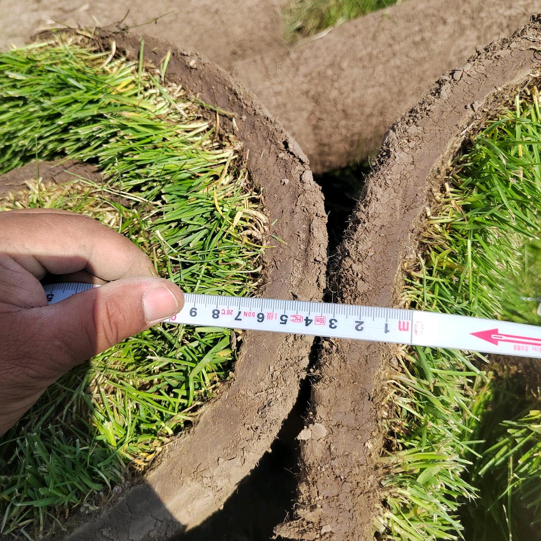 王立孟起草中队