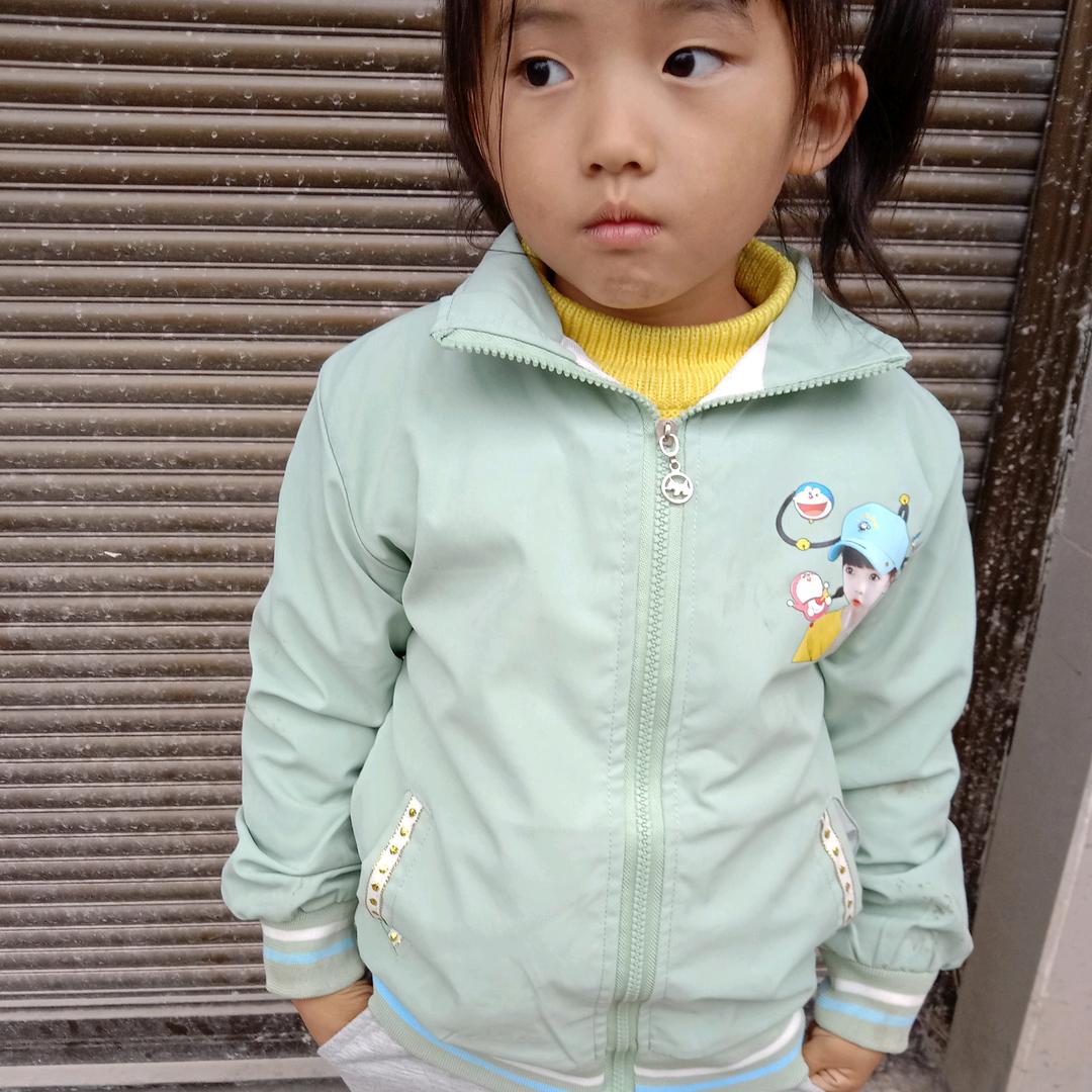 杨花