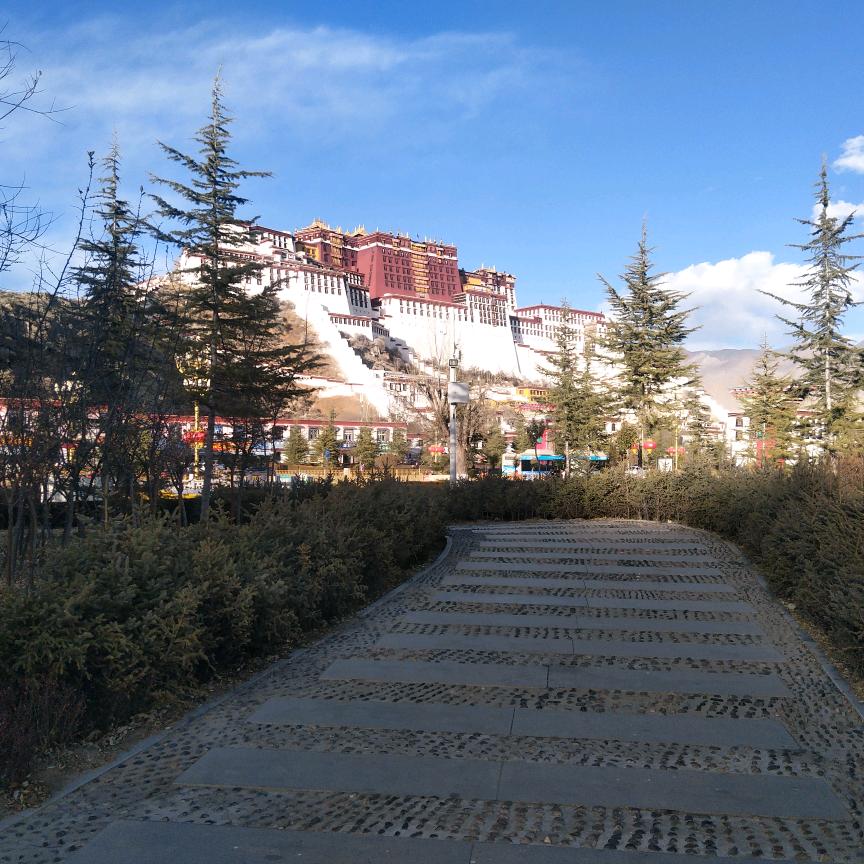 雪域之宝