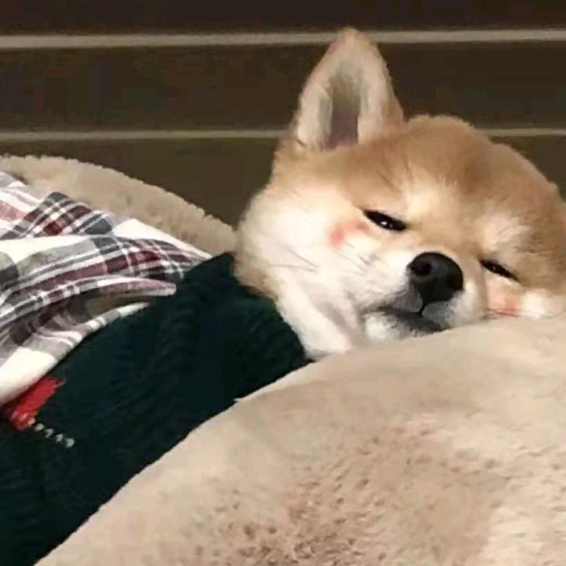 Lljh