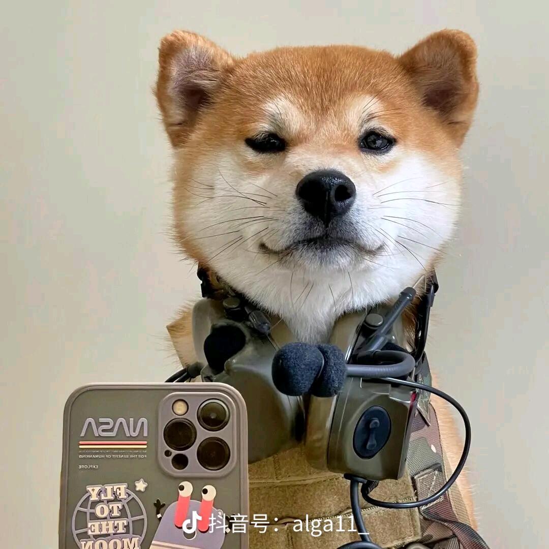 aaa