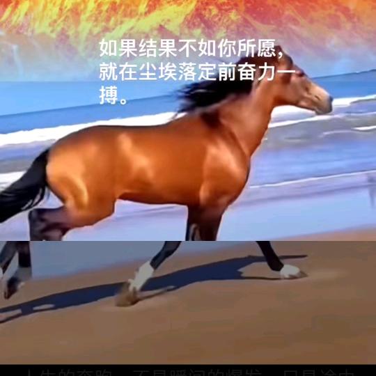 盖清风1013