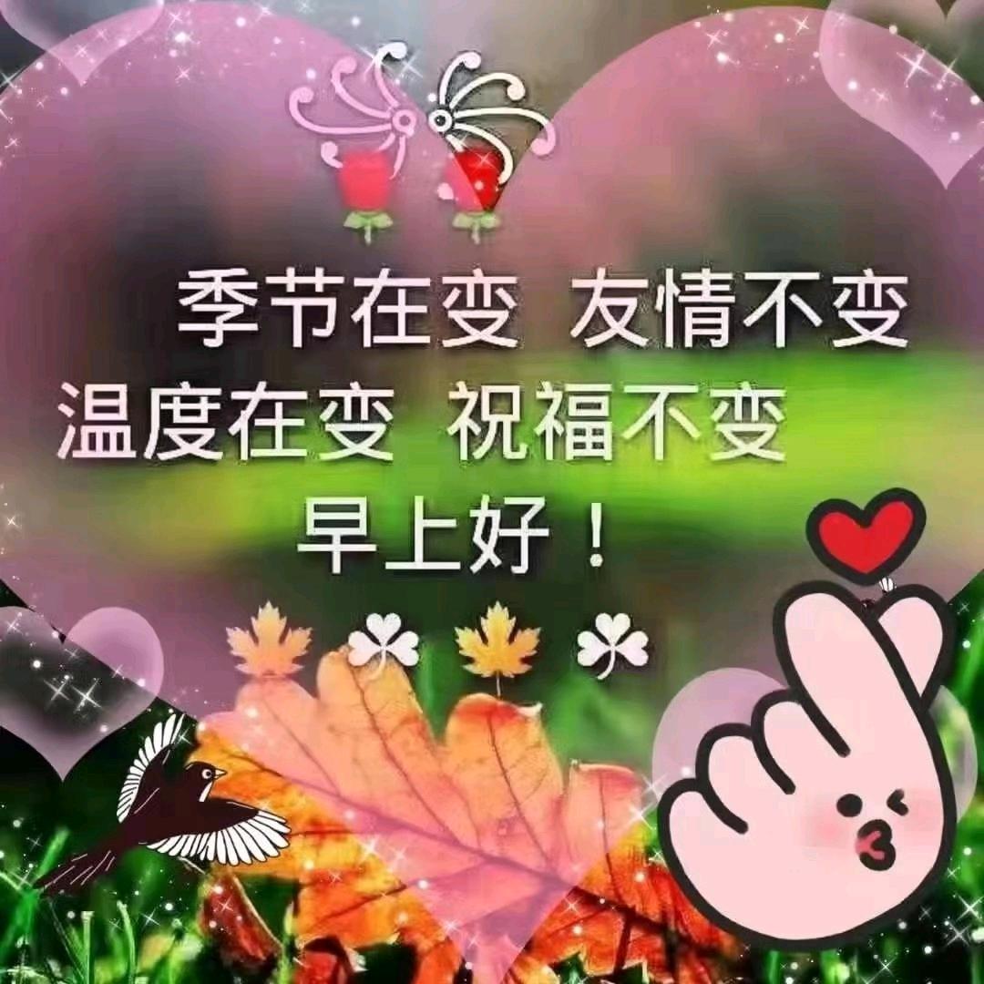如意妈