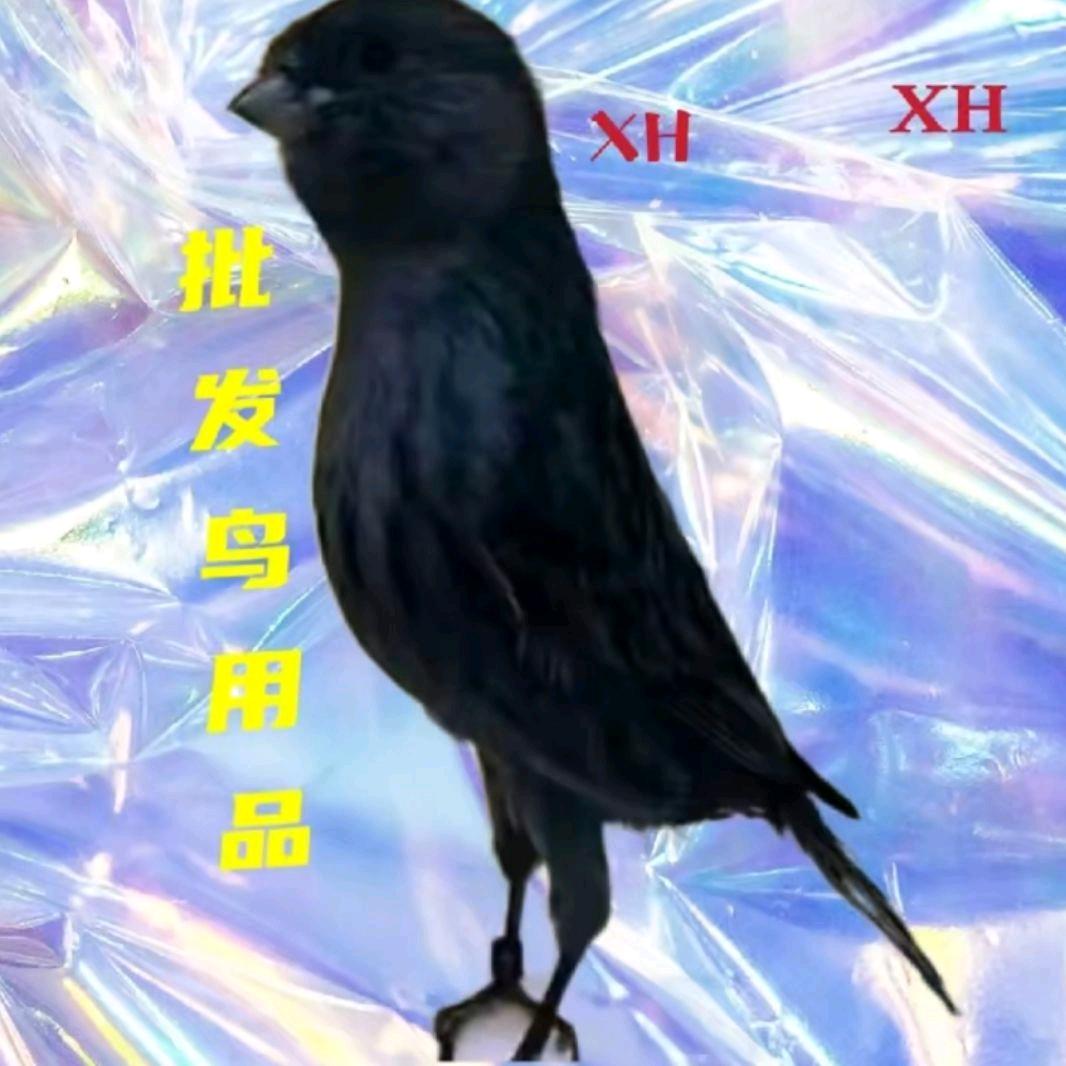 锦州小胡鸟用品