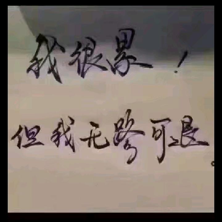 期待遇见真心