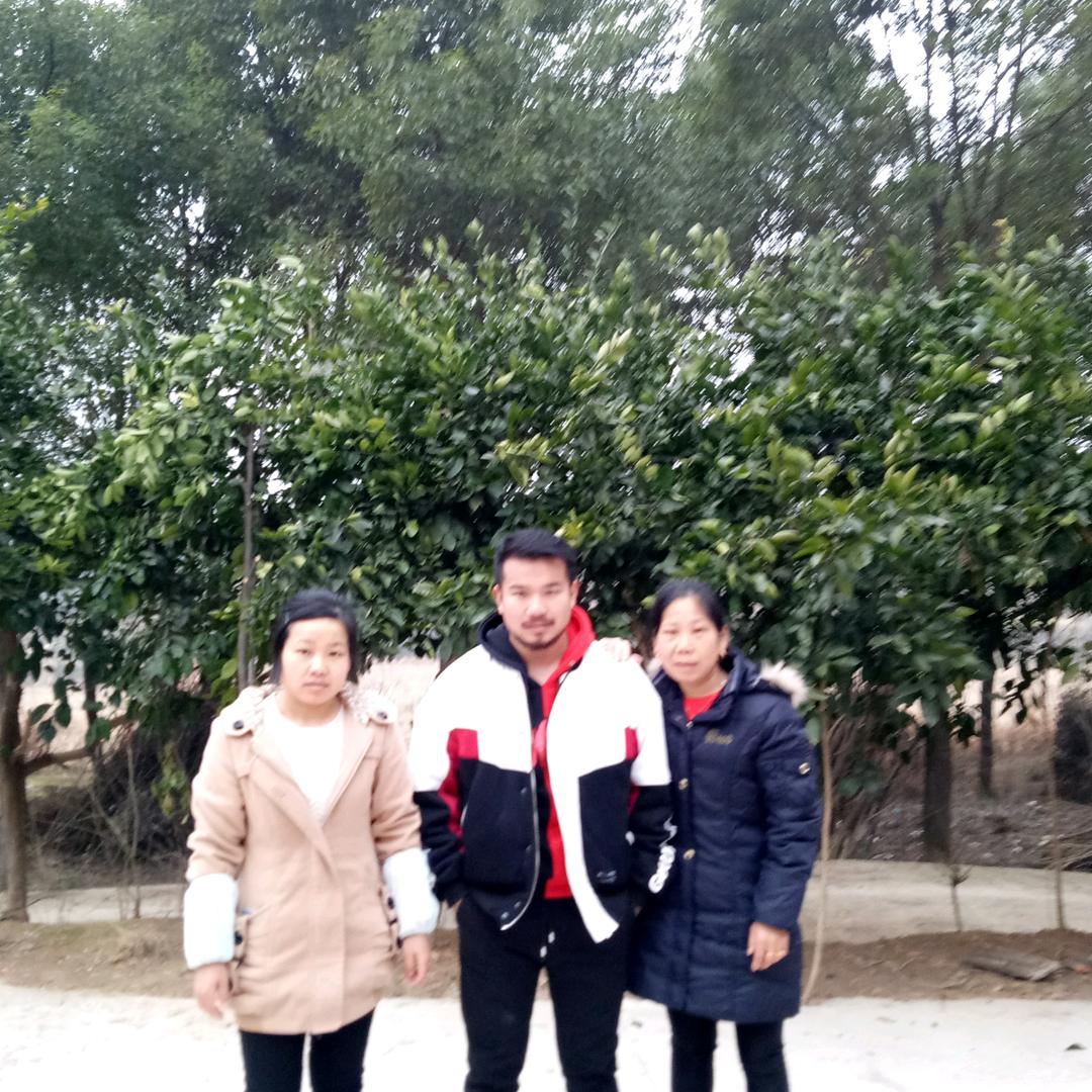 陈菊英