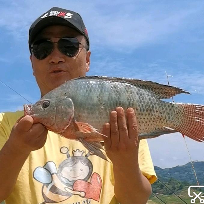 钓鱼团长——小明