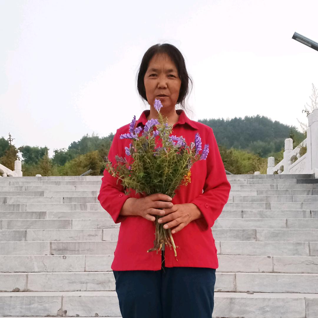 淑华