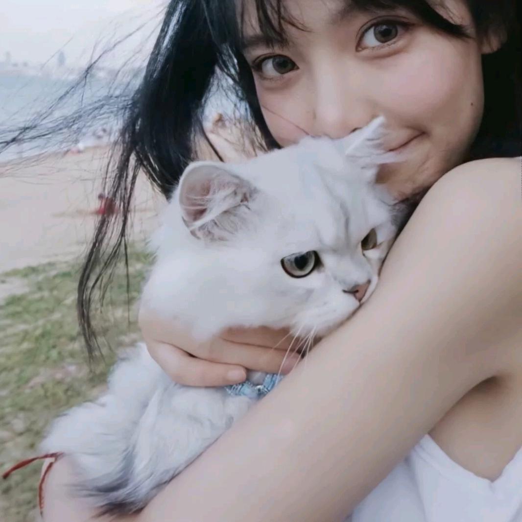 雾漫了愛意