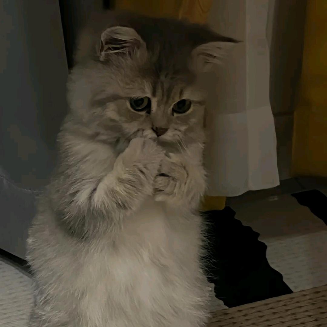 元找找