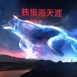 独狼闯天涯