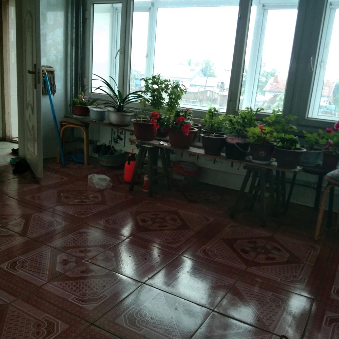 天天在家