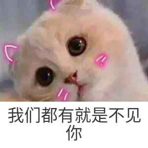 豆子