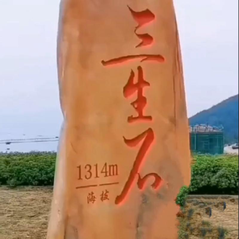 1035411690