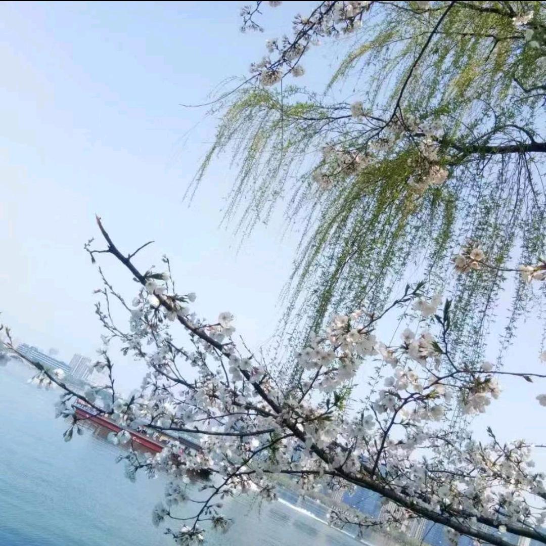 用户7619951292640🙏🙏