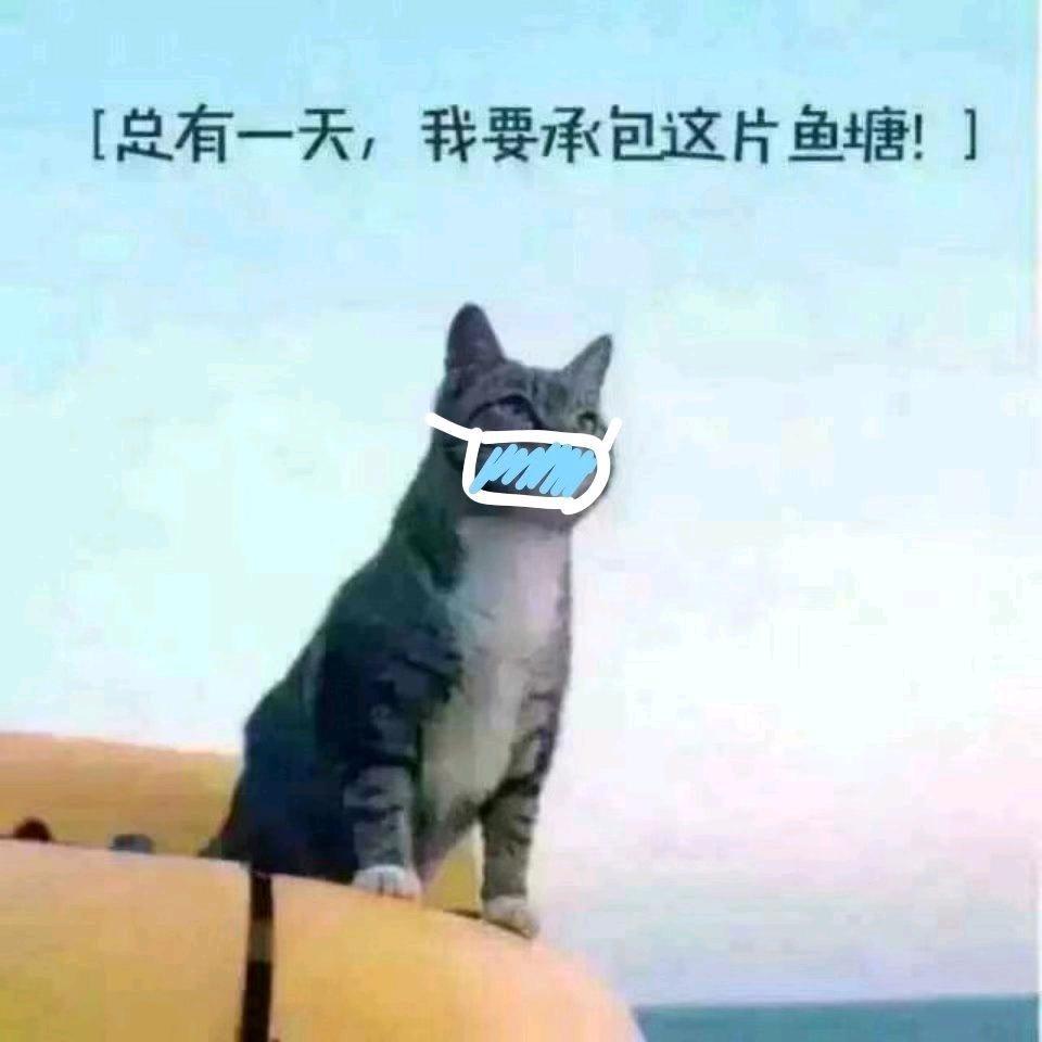 运哥