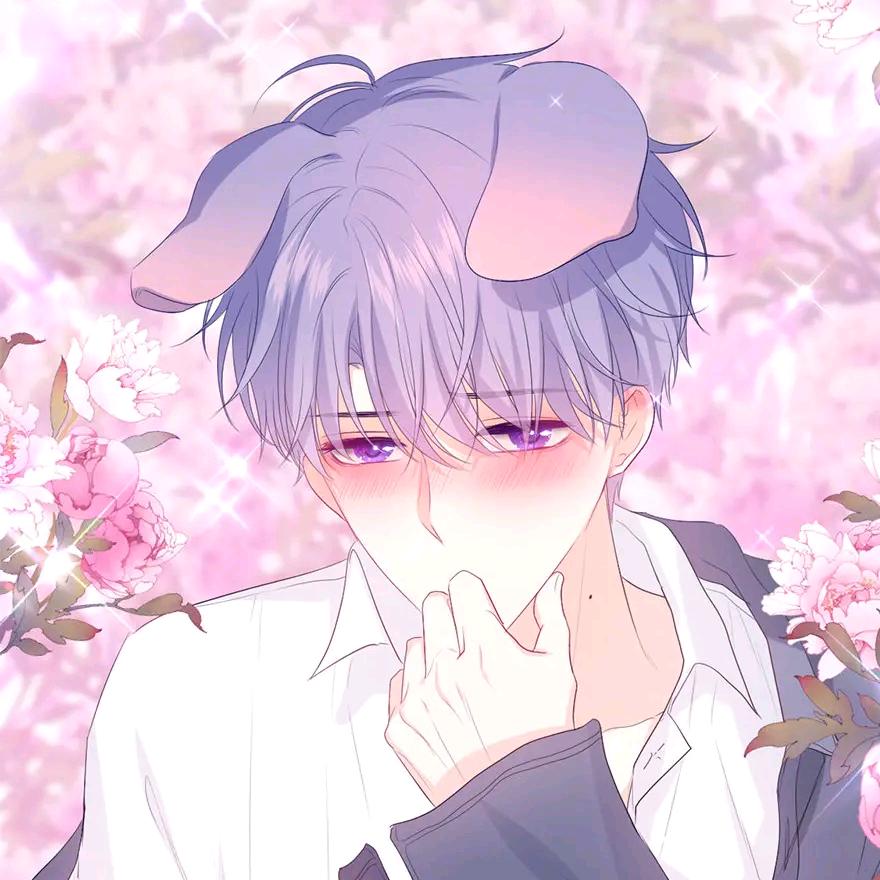 坠翎✨