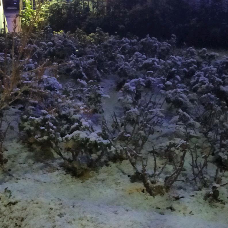 为生活加油