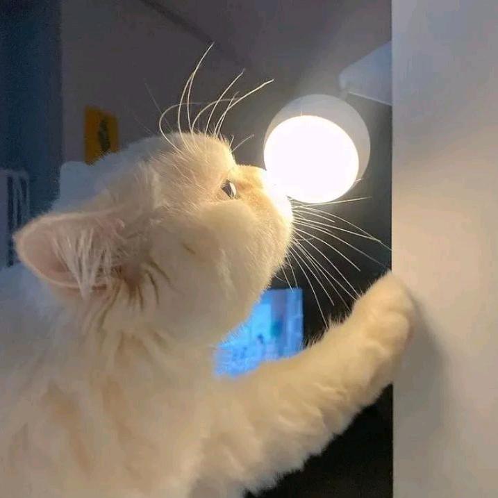 PPRP