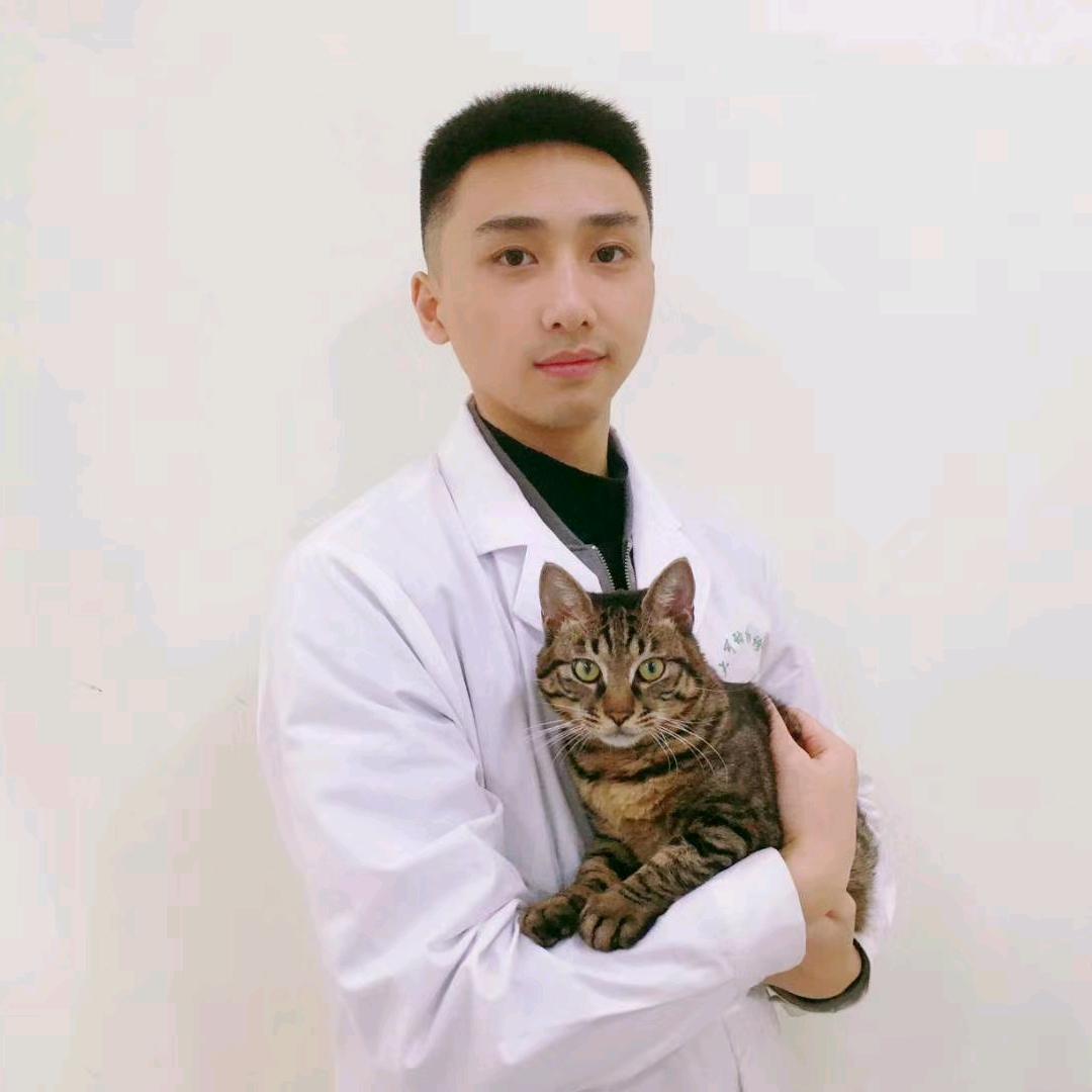 兽医小钟
