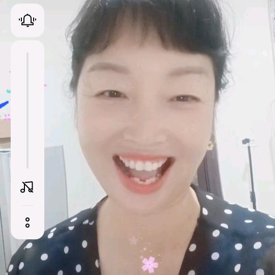 菊花开了