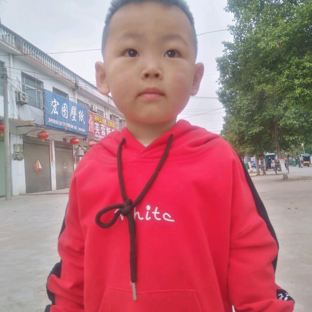 我的梦里只有一个你