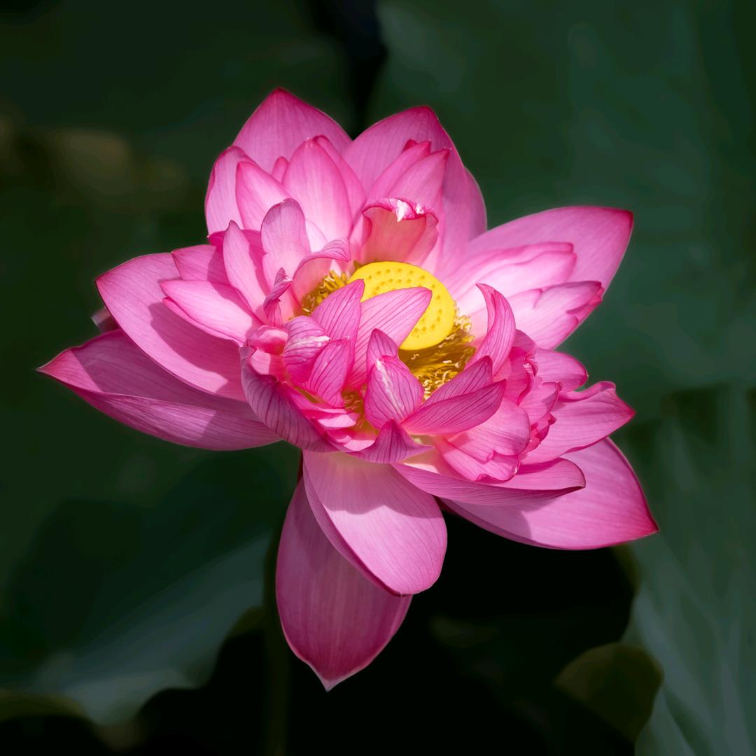 独处凭栏124