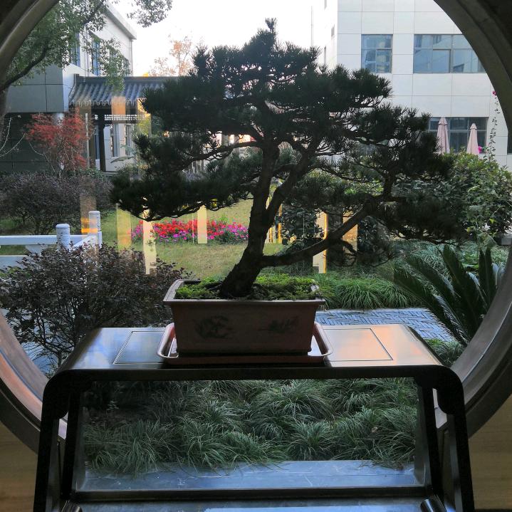 早稻田