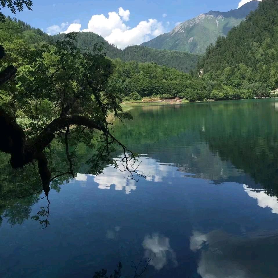 丝丝