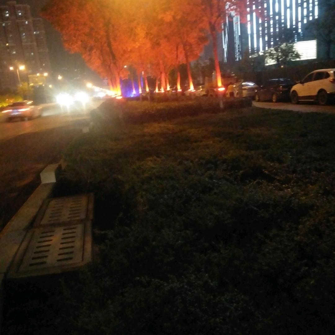 一帆风顺