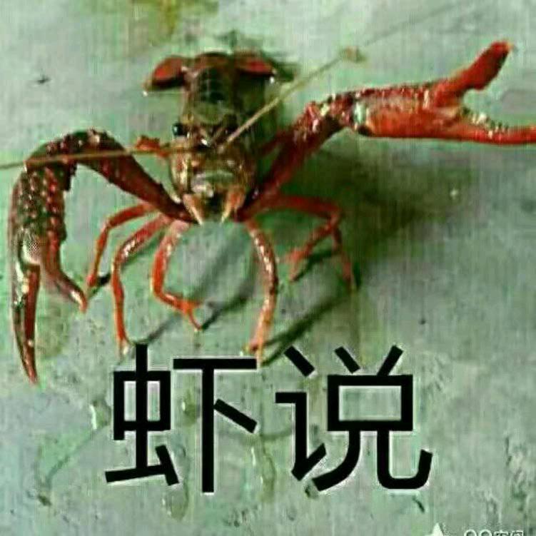 “虾说”