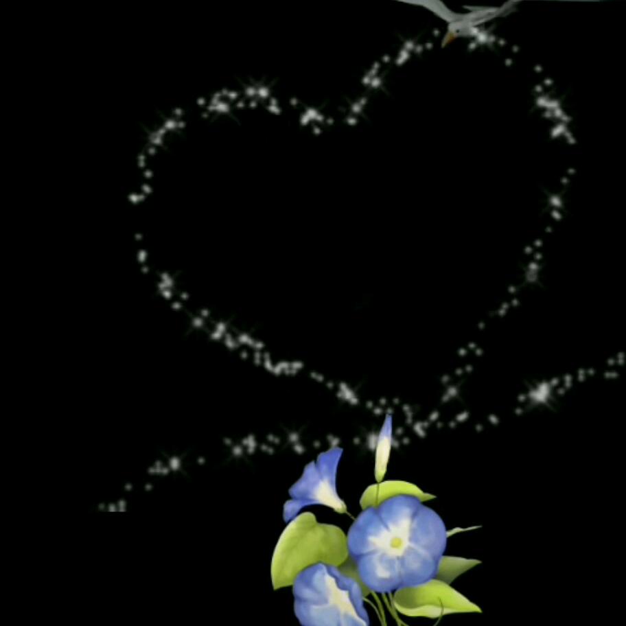 🌾落叶✨摇情🌾