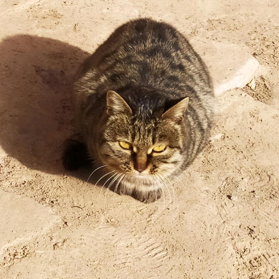 骑28大杠的奥德彪🏀🍉🍔🦌🌈