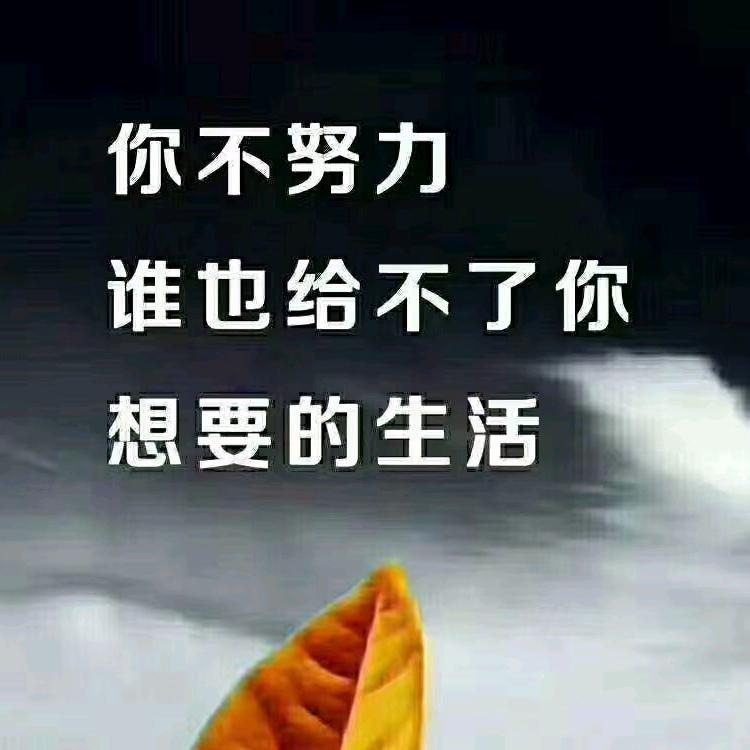 爱跳舞的妞