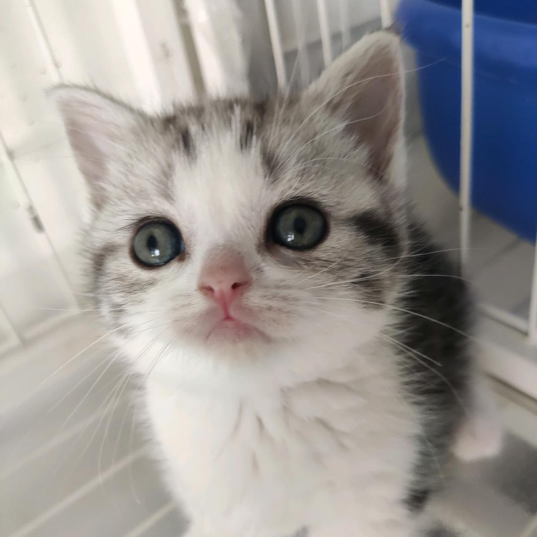 我叫小可爱