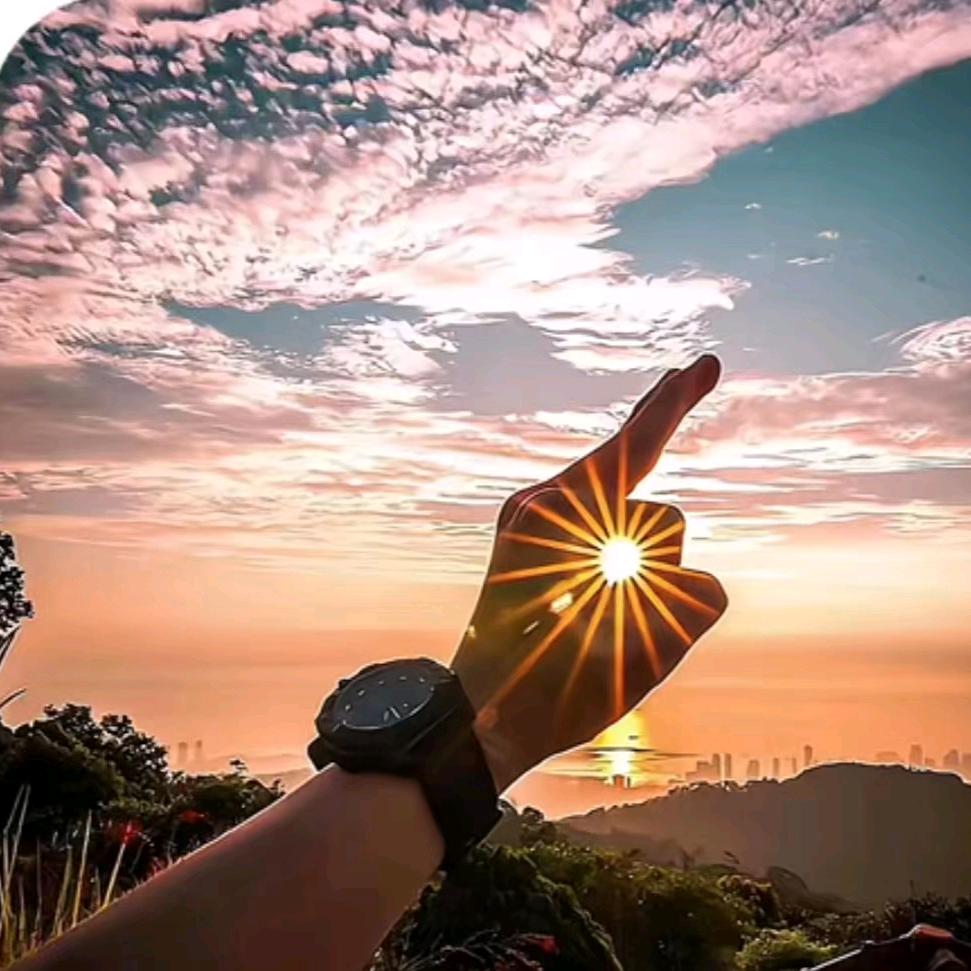 ༺鹏必生辉༻扶摇