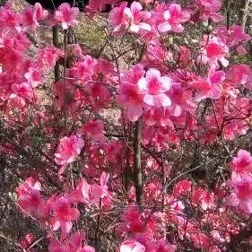 一帆风顺～