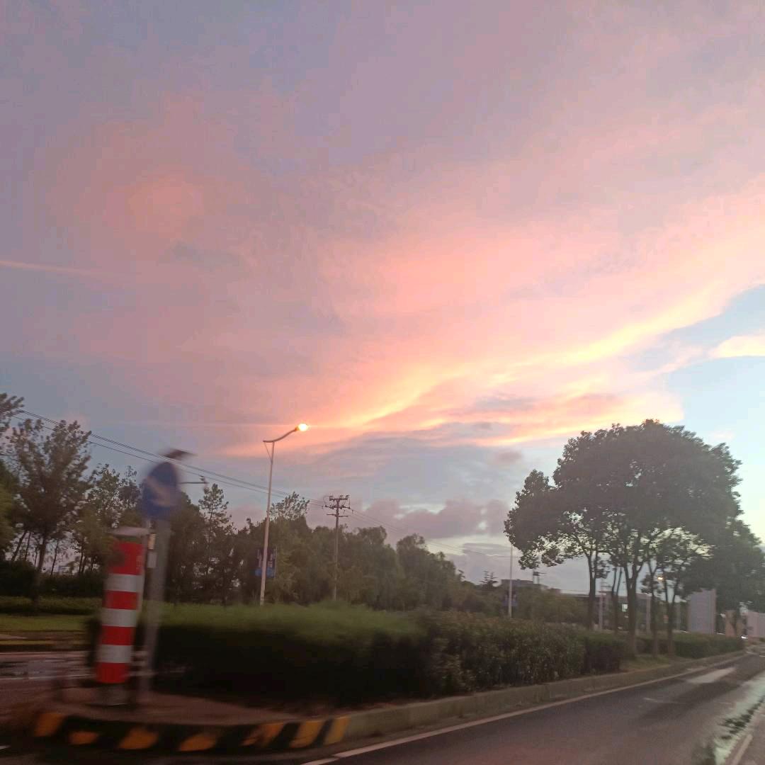 小涛