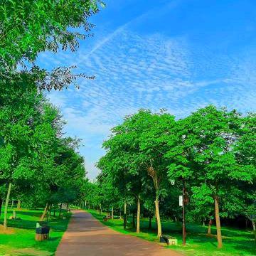 🌿🌺顺其自然🌿🌺