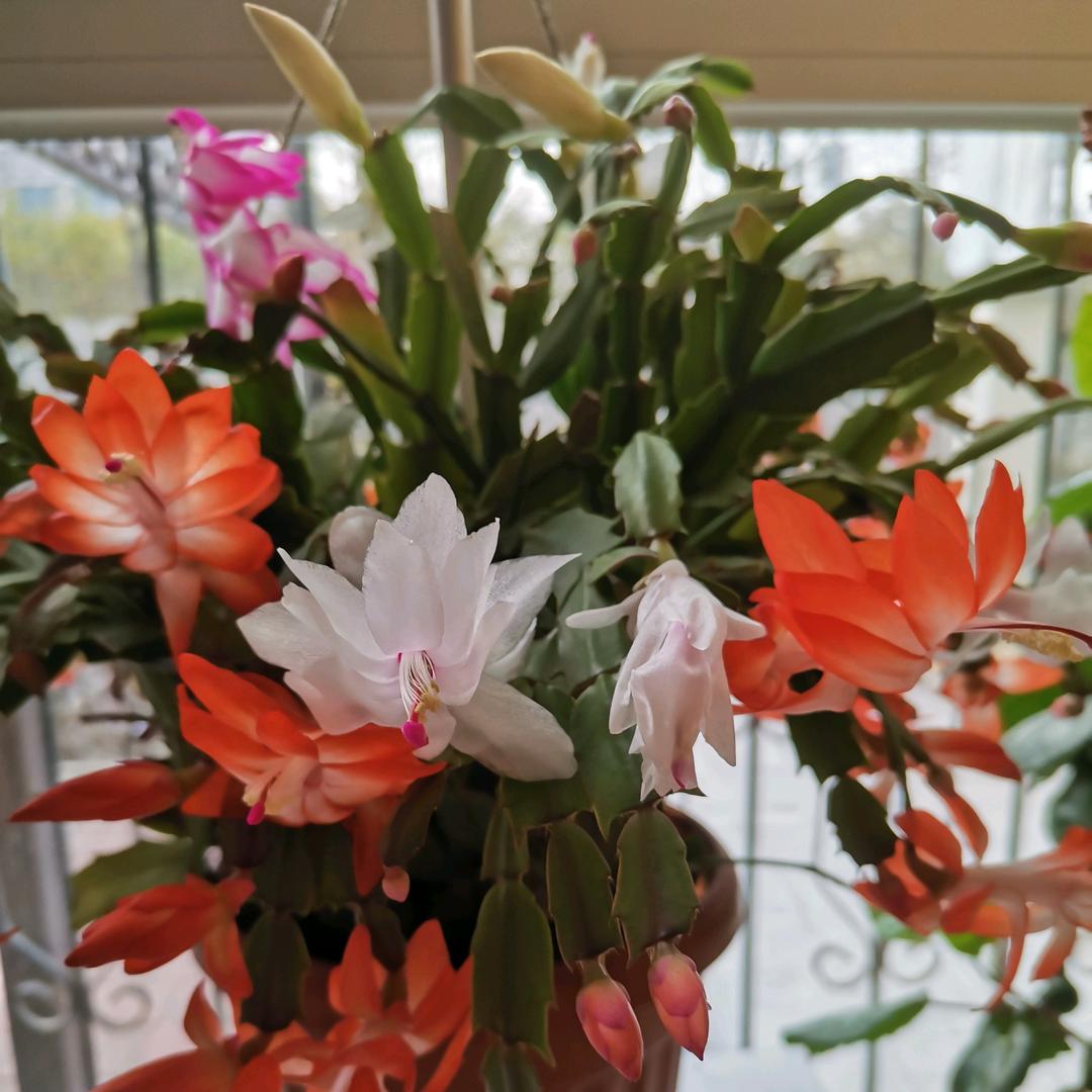 细品岁月（59年🐷）