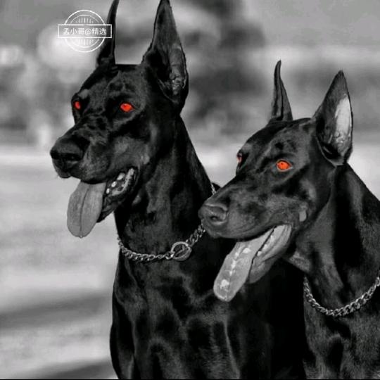 ـ٨ـﮩﮩ٨ــ٨ـﮩﮩ٨ـ♡幻想